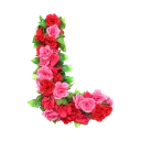 🌹 emoji BN Roses Alphabet🌹 Telegram sticker 12 of 27