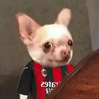 😐 emoji ⚫MILAN PACK🔴 Telegram sticker 10 of 92