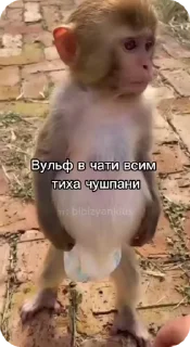 🌟 emoji Пак Нейрика 4 Telegram sticker 8 of 50