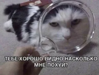 Sticker from Галя в сердце краш