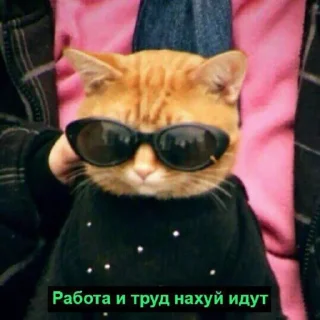 😎 emoji Галя в сердце краш Telegram sticker 15 of 31