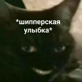 😏 emoji Галя в сердце краш Telegram sticker 14 of 31