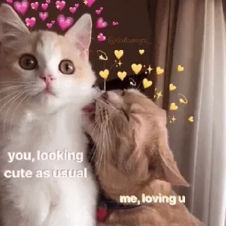 💜 emoji Amin pack Telegram sticker 16 of 73
