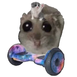 🛼 emoji БОЛЬШЕ СТИКЕРОВ 👉 @my_little_stickers Telegram sticker 21 of 50
