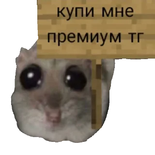 🙏 emoji БОЛЬШЕ СТИКЕРОВ 👉 @my_little_stickers Telegram sticker 24 of 50