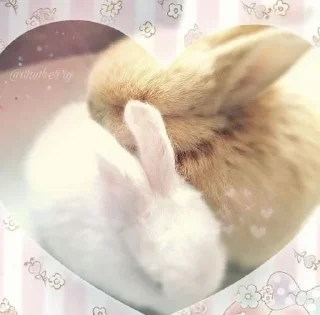 🎀 emoji 𝗌𝗁𝗈𝗋𝗍𝖼𝖺𝗄𝖾  @itgirldoll ﹕ 🐇 ❀ Telegram sticker 10 of 120