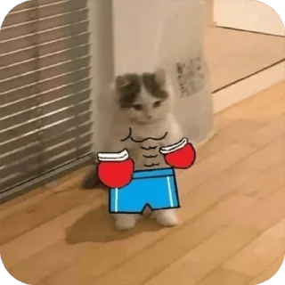 🥊 emoji $michi Telegram sticker 15 of 120
