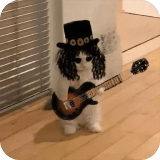 🎸 emoji $michi Telegram sticker 24 of 120