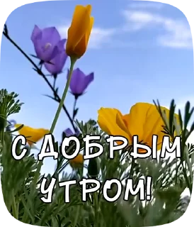 😂 emoji PRIVET_M_1 Telegram sticker 19 of 19