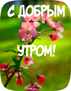 😂 emoji PRIVET_M_1 Telegram sticker 8 of 19