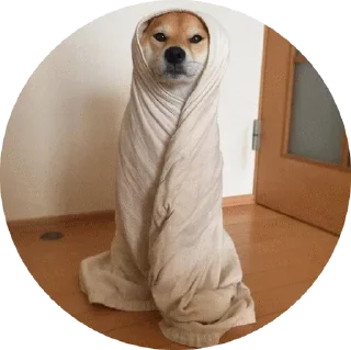 🌯 emoji @disconnettersi ~ τнє ρυѕнッ ѕτιϲκєяѕ ραϲκ 2 Telegram sticker 17 of 120