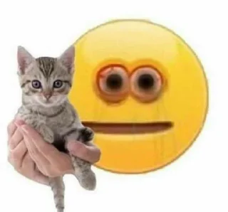 Sticker from Meow meow 👁️👄👁️