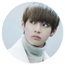 😶 emoji Tae Tae (m_mkj) Telegram sticker 19 of 26