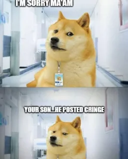 Sticker from Cheems and Doge Diviiv