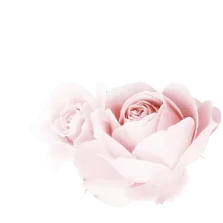 🌸 emoji 𝅷 𝅷ָ   ᰍᰰ   ֺㅤ𑂘᪲cִar֗a᮫hᩛidaꨭㅤ ִ ֺ  ˖ㅤ @Valelliyㅤ  ᭡ Telegram sticker 7 of 120