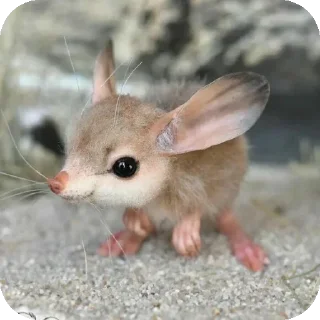 🐭 emoji type shit Telegram sticker 7 of 49