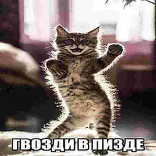 😪 emoji хихи Telegram sticker 21 of 83