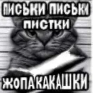 😁 emoji хихи Telegram sticker 9 of 83