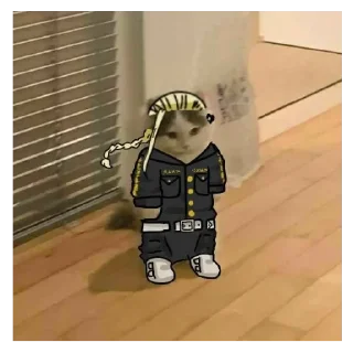 🐱 emoji KAWAI BALUGA ( TOMEKI) Telegram sticker 11 of 23