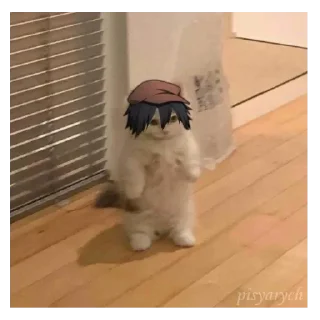 🐱 emoji KAWAI BALUGA ( TOMEKI) Telegram sticker 7 of 23