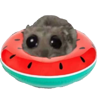 🩱 emoji БОЛЬШЕ СТИКЕРОВ 👉 @my_little_stickers Telegram sticker 22 of 50
