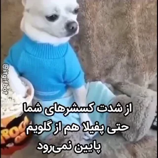 😊 emoji @slp_dokhtari | سلپ ۶ Telegram sticker 6 of 33