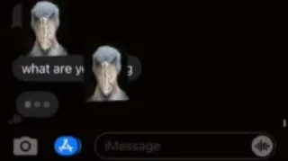 🫣 emoji shoebill @vkuwa Telegram sticker 19 of 19