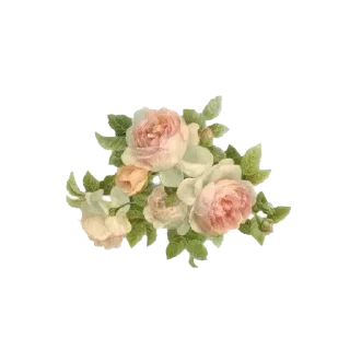 🥀 emoji Красиво 💚: @fStikBot Telegram sticker 22 of 103