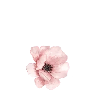 🌸 emoji Красиво 💚: @fStikBot Telegram sticker 19 of 103
