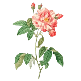 🌟 emoji Красиво 💚: @fStikBot Telegram sticker 8 of 103