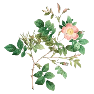🌻 emoji Красиво 💚: @fStikBot Telegram sticker 5 of 103
