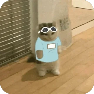 👓 emoji $michi Telegram sticker 21 of 120