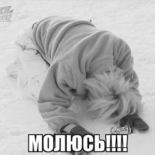 🌟 emoji Ликсс Telegram sticker 6 of 49