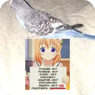 🤫 emoji Piska popugaichik Telegram sticker 17 of 30