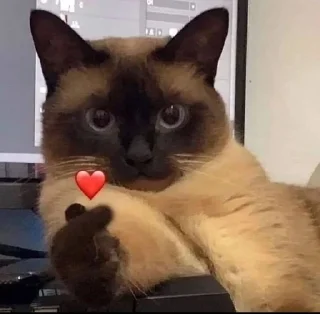 ❤️ emoji ℳ Telegram sticker 9 of 104