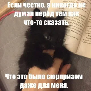 🤗 emoji Котики!! Telegram sticker 14 of 27