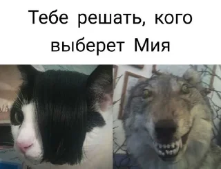 💔 emoji Роза пустынм Telegram sticker 14 of 37
