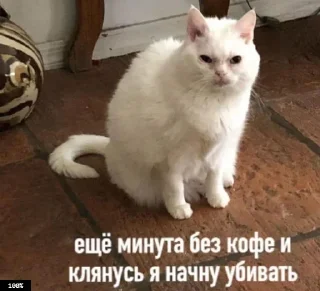 ☕️ emoji Муд: Николай Telegram sticker 16 of 36