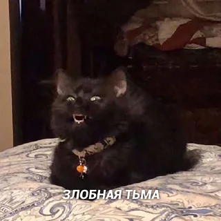 🤣 emoji Муд: Николай Telegram sticker 9 of 36