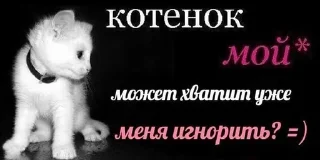 🥺 emoji Люблю  котю💗 Telegram sticker 15 of 81
