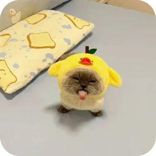 👍 emoji @KimJongPwn 2 Telegram sticker 13 of 65