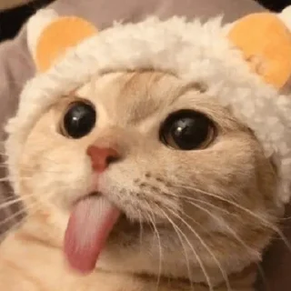 👻 emoji @KimJongPwn 2 Telegram sticker 7 of 65