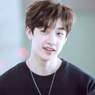 🐚 emoji | Bang Chan 🕊 | Telegram sticker 20 of 65