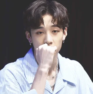 🐚 emoji | Bang Chan 🕊 | Telegram sticker 10 of 65