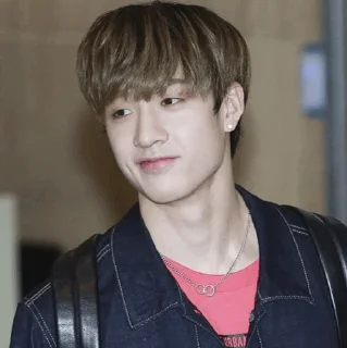 🐚 emoji | Bang Chan 🕊 | Telegram sticker 16 of 65