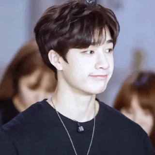 🐚 emoji | Bang Chan 🕊 | Telegram sticker 21 of 65