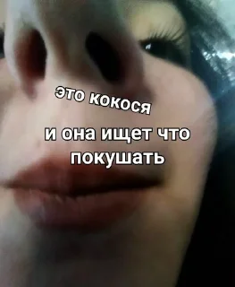 🥥 emoji емпти легенда Telegram sticker 21 of 91