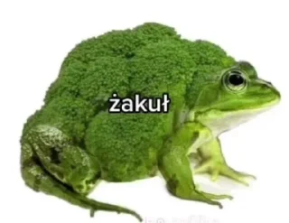 🌟 emoji Żaba Telegram sticker 9 of 75
