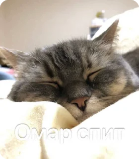 🥱 emoji Омар чурка Telegram sticker 23 of 39