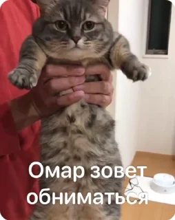 🤗 emoji Омар чурка Telegram sticker 11 of 39